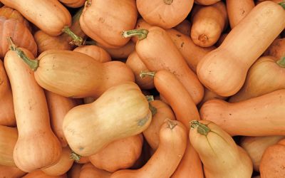 A Non-Traditional Thanksgiving Recipe to Spice Up Your Holiday Table